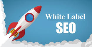Why Businesses Are Turning to White Label SEO Agencies for Scalable Growth in 2025