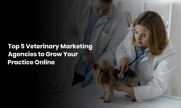 Top 5 Veterinary Marketing Agencies to Grow Your Practice Online