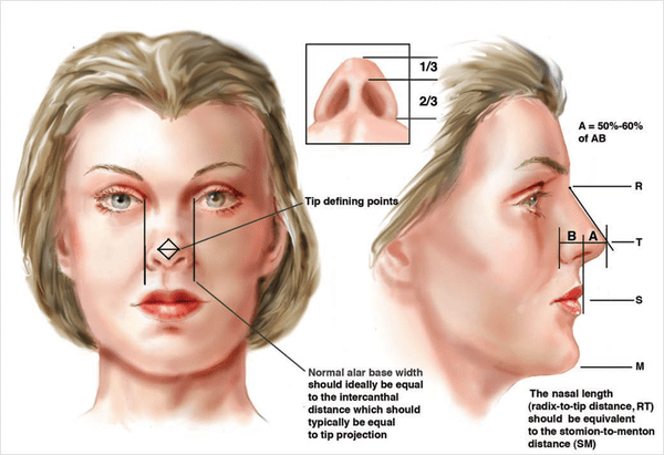 The Real Price of a Nose Job: What Influences the Cost and Why It Varies