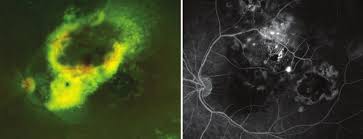 The Personal Values That Shape Jonathan Mordechaev’s Professional Impact